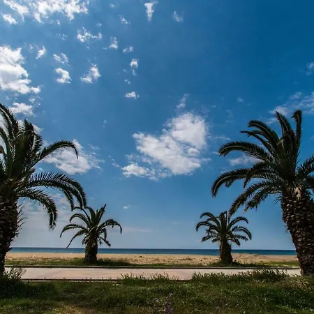 Paralia * Flogita